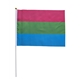 Polysexual 20 x 27 cm hand Flag